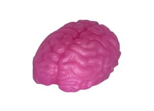 Brainzzz Squishy Silicone Grinding Toy | Humping & Grinding Toys Accessories Accessories