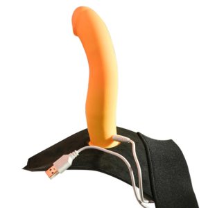 Gender X Sweet Embrace Dual Motor Remote Control Vibrator and Strap-On Harness Kit | Vibrators Butt Toys Butt Toys