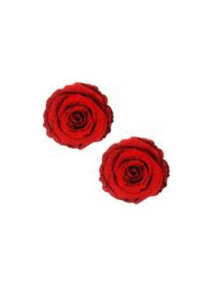 Red Rose Glitter Velvet Pasties | Pasties Apparel Pasties