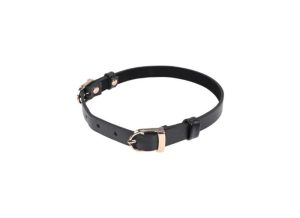 S&M Double Buckle Day Collar | Wearables BDSM Wearables