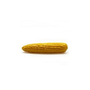 Big Corn On The Cob Silicone Dildo | Dildos Dildos Dildos